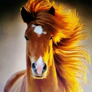 Thanks for the shares. ♥️ fashunhorse